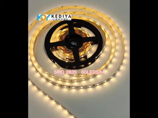 Venta al por mayor de fábrica Bulkbuy IP20 Gabinete de retroiluminación de TV multicolor DC24V 12V Iluminación de decoración Flexible SMD2835 300 Shenzhen Luz de tira LED